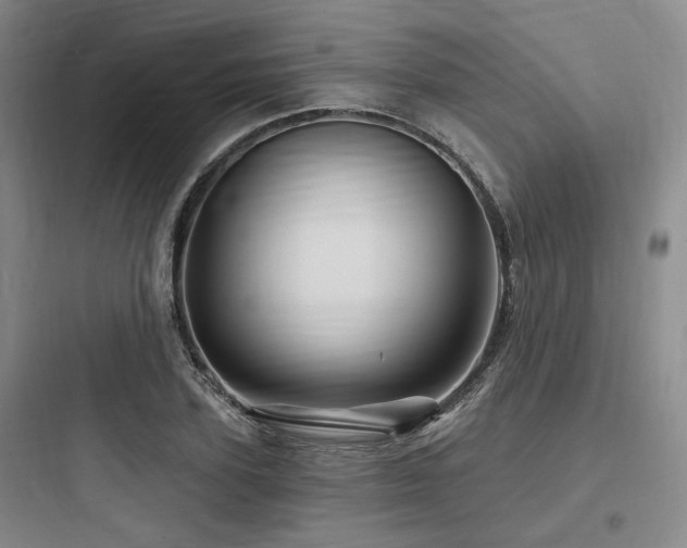 X0000097990931200803241338