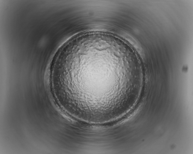X0000097990933200803241338