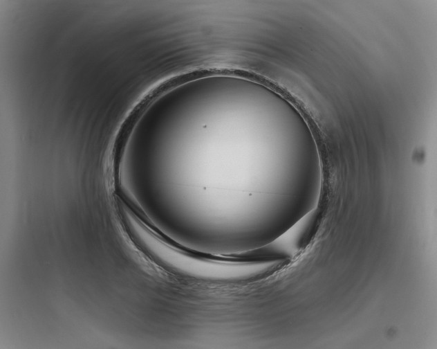 X0000097990934200803241338