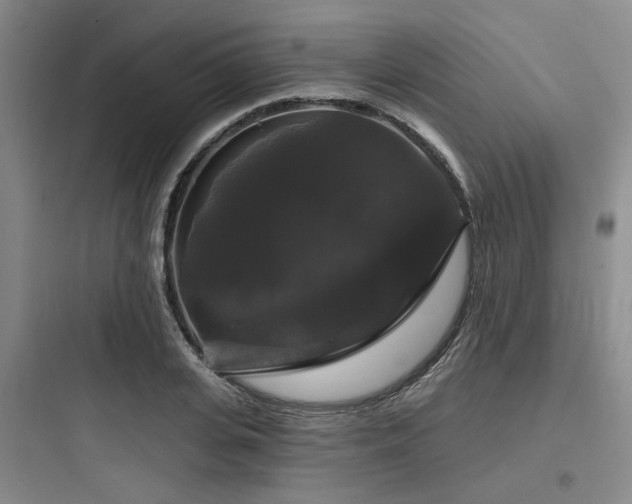 X0000097990935200803241338