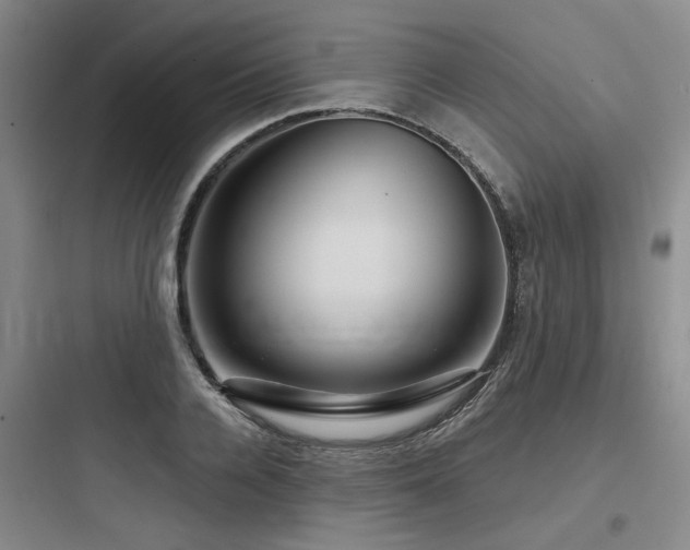 X0000097990936200803241338