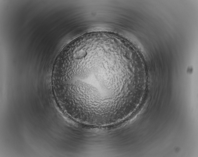 X0000097990937200803241338
