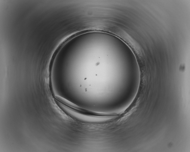 X0000097990940200803241338
