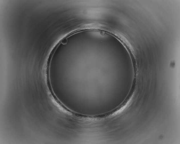 X0000097990941200803241338