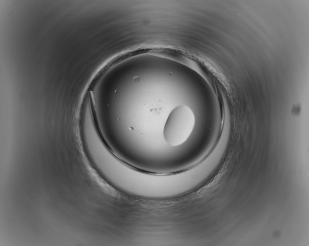 X0000097990942200803241338
