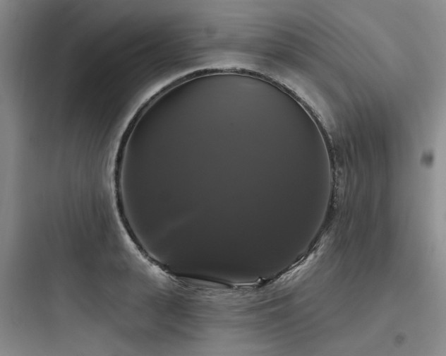 X0000097990943200803241338