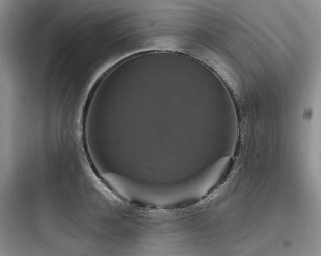 X0000097990944200803241338