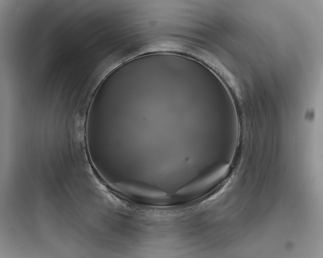 X0000097990945200803241338