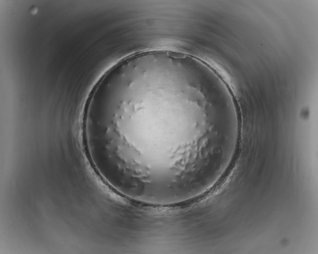 X0000097990949200803241338