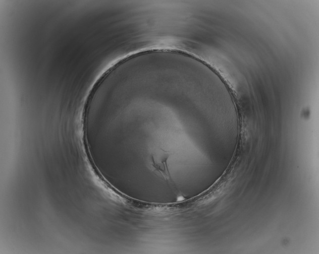 X0000097990950200803241338