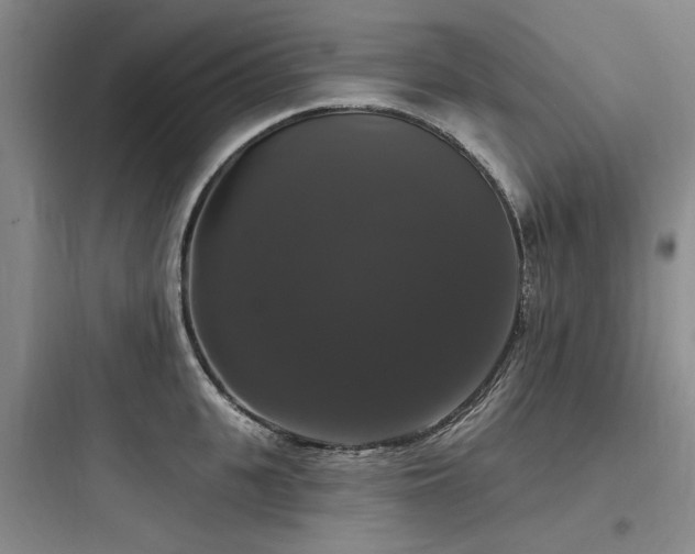 X0000097990951200803241338