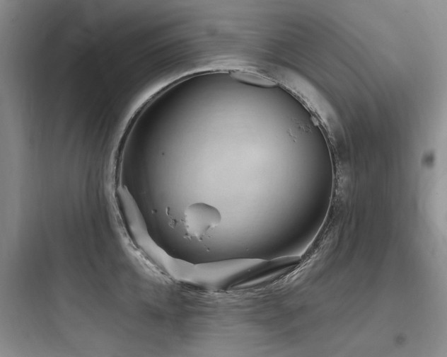 X0000097990952200803241338