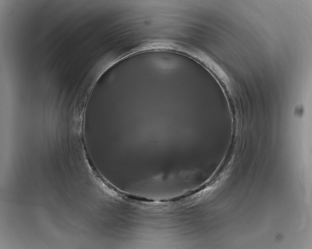 X0000097990953200803241338