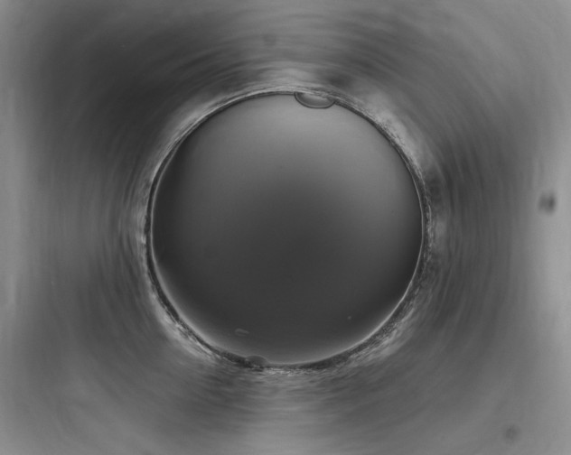 X0000097990954200803241338