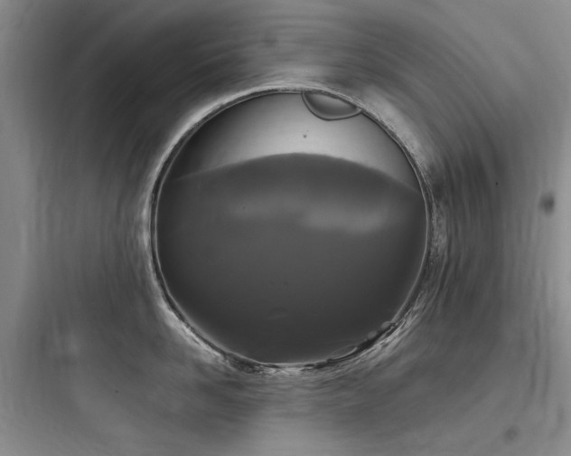 X0000097990958200803241338