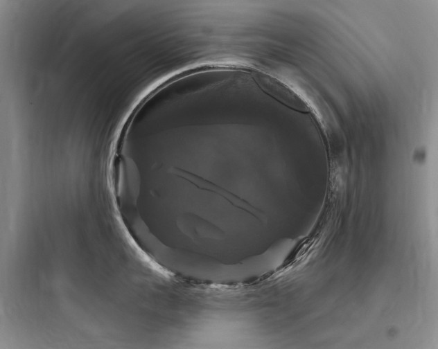 X0000097990959200803241338