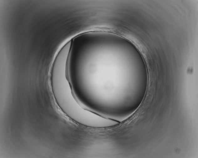 X0000097990960200803241338