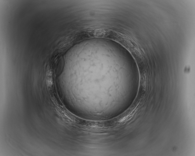X0000097990962200803241338