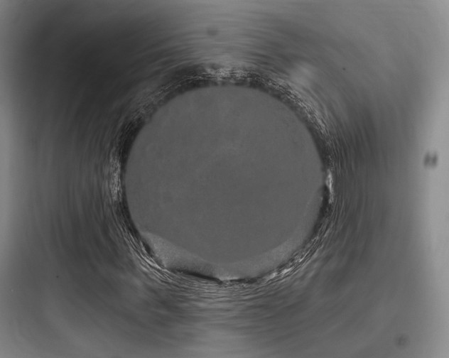 X0000097990963200803241338