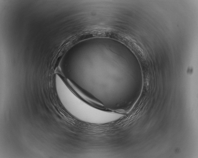 X0000097990964200803241338