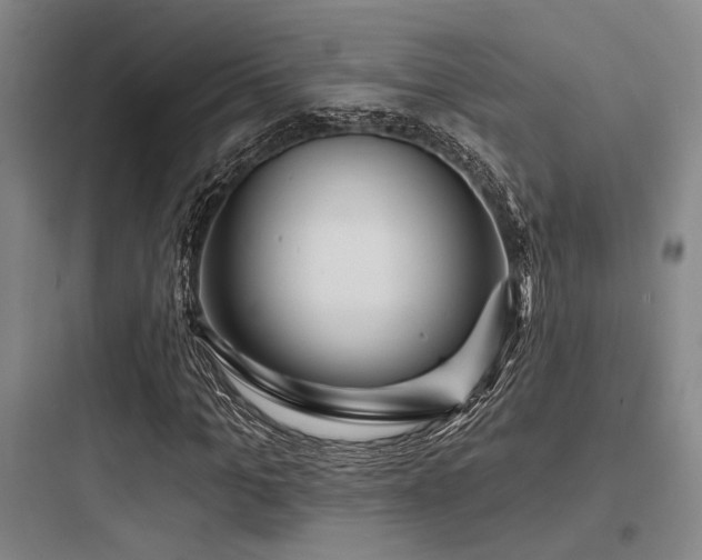 X0000097990965200803241338