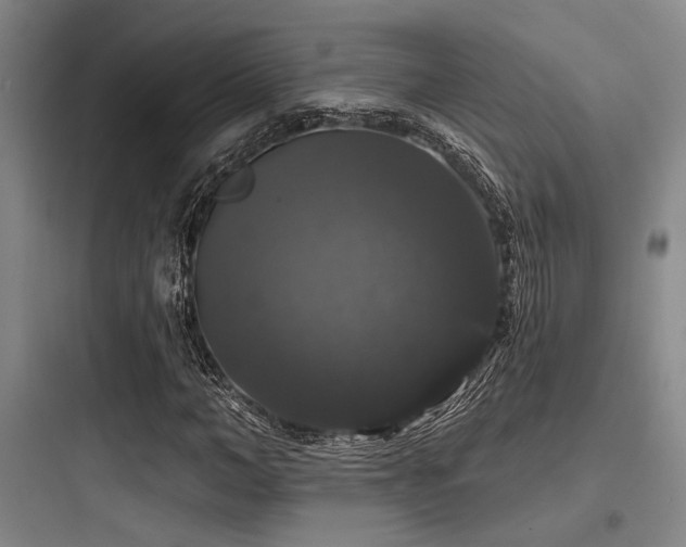 X0000097990966200803241338