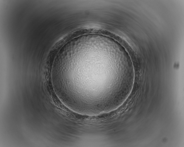 X0000097990967200803241338