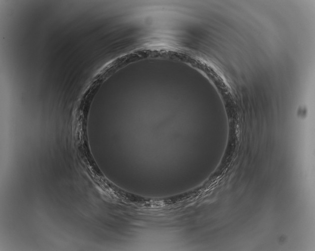 X0000097990968200803241338