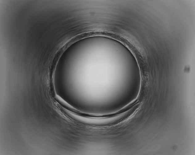 X0000097990969200803241338