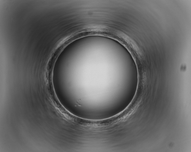 X0000097990970200803241338