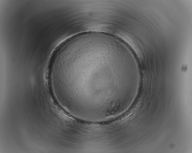 X0000097990971200803241337