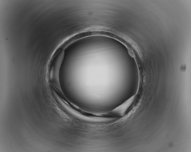 X0000097990973200803241337