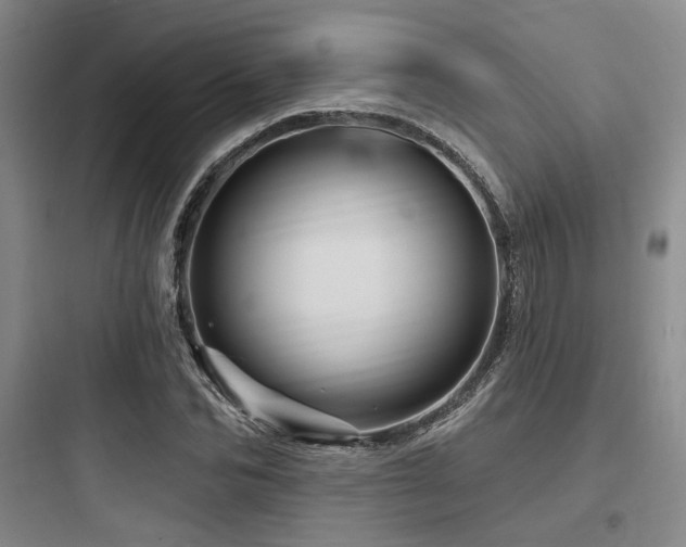X0000097990974200803241337