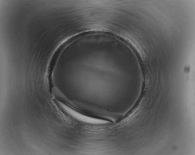 X0000097990975200803241337