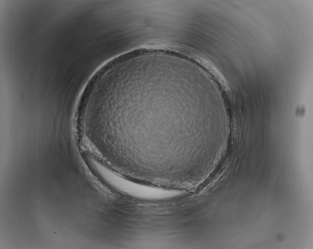 X0000097990976200803241337