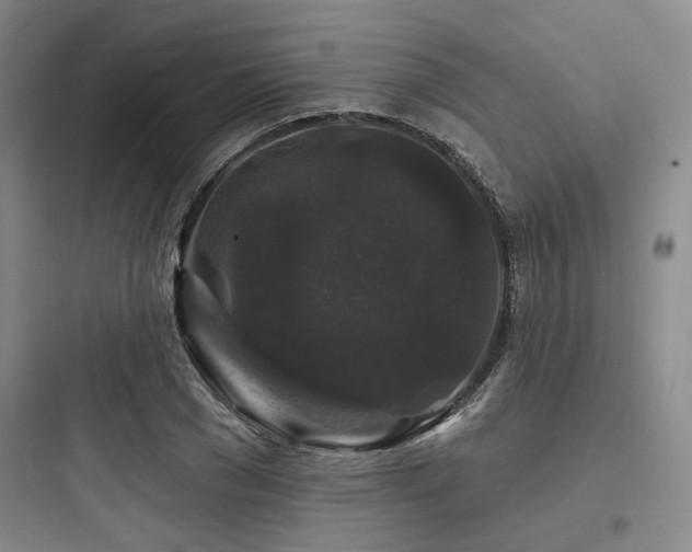 X0000097990977200803241337