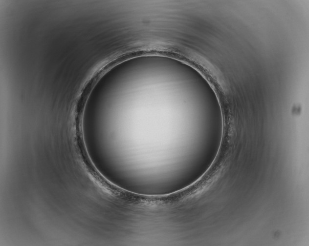 X0000097990978200803241337