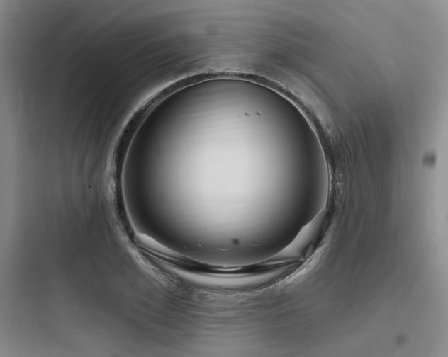 X0000097990981200803241337