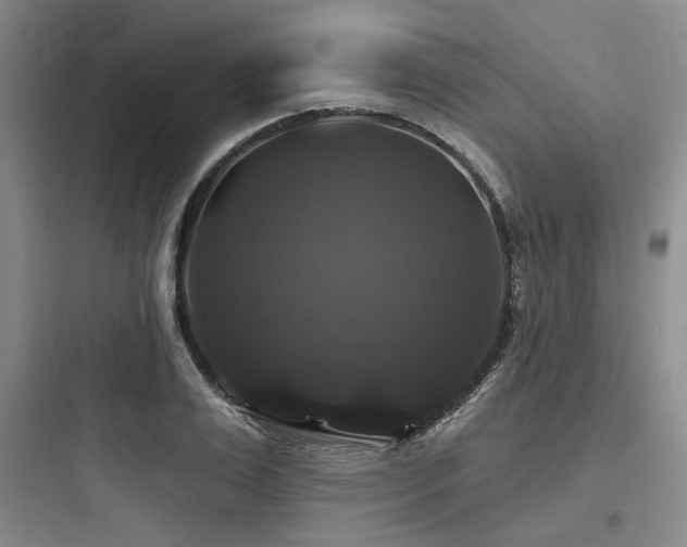 X0000097990983200803241337