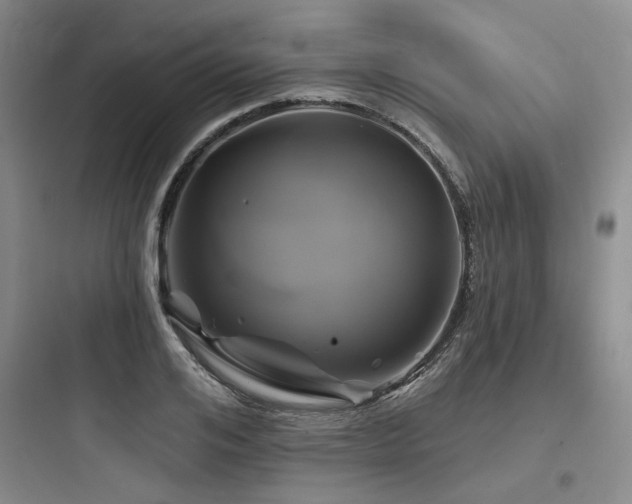 X0000097990984200803241337