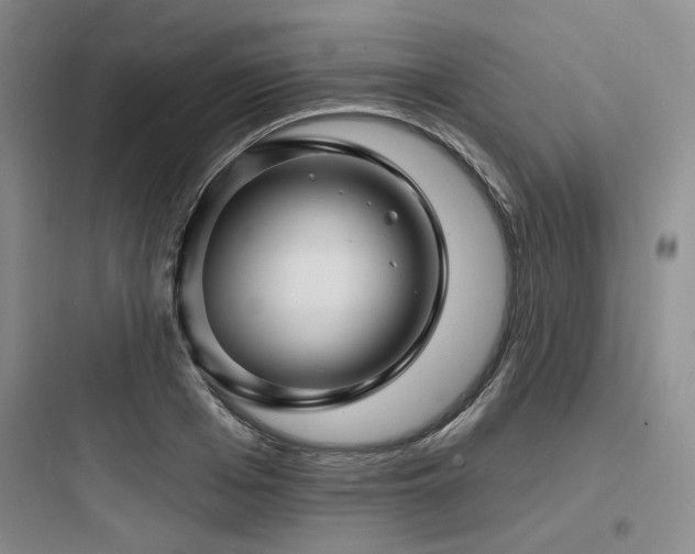 X0000097990985200803241337