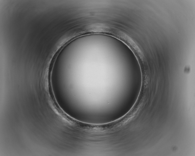 X0000097990986200803241337