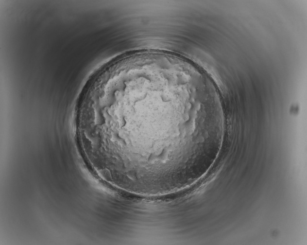 X0000097990987200803241337