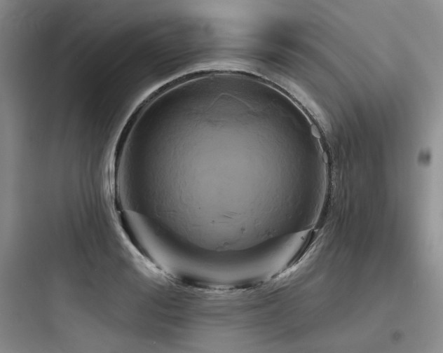 X0000097990988200803241337