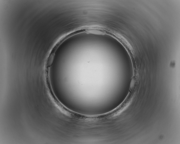 X0000097990989200803241337