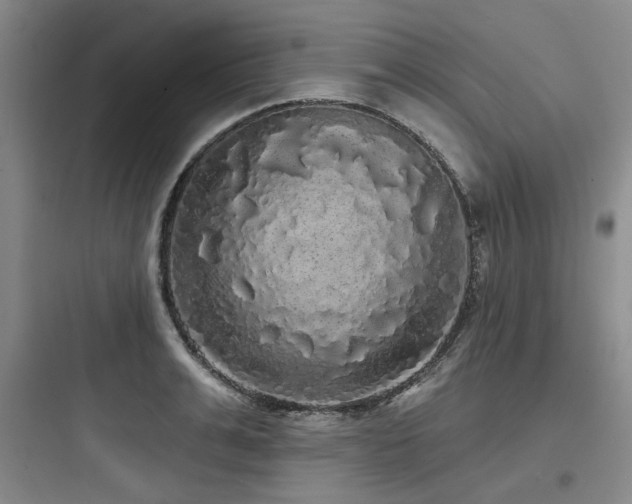 X0000097990991200803241337