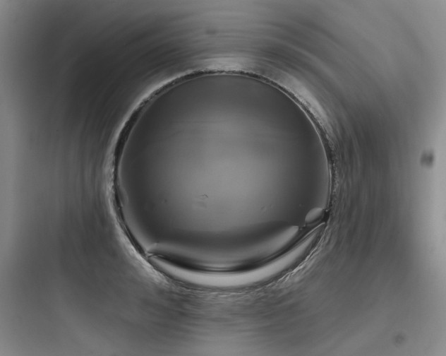 X0000097990992200803241337