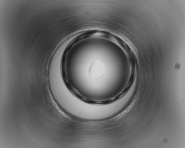 X0000097990993200803241337