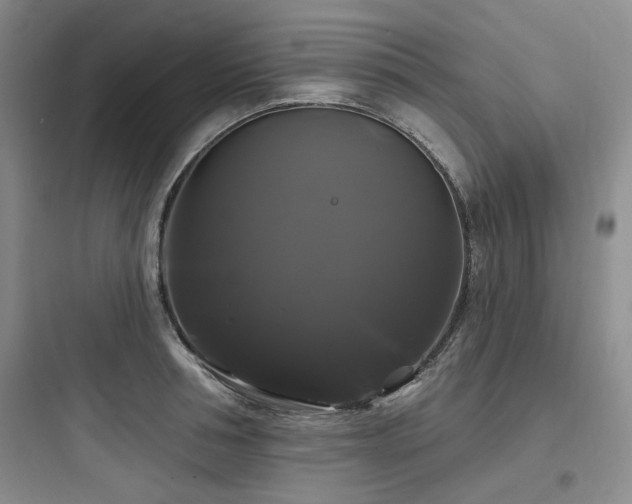 X0000097990994200803241337