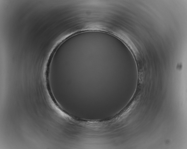 X0000097990995200803241337